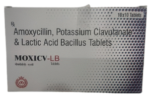 Moxi CV LB