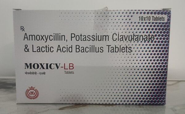 Moxi CV LB - Image 3