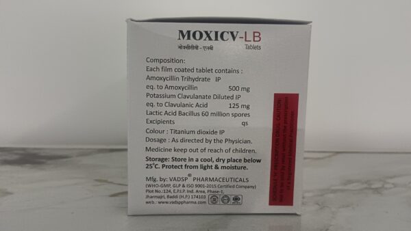 Moxi CV LB - Image 4