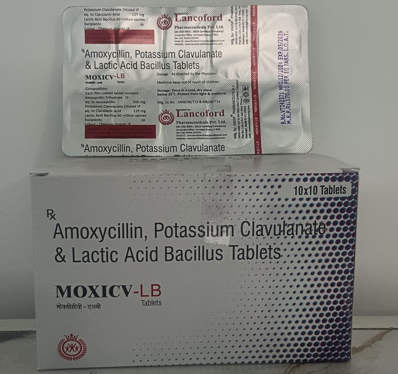 Moxi CV LB - Image 2